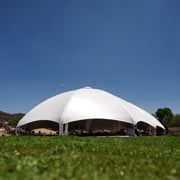 Carpa 6